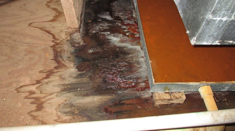 ICYReno Water Damage Restoration Services